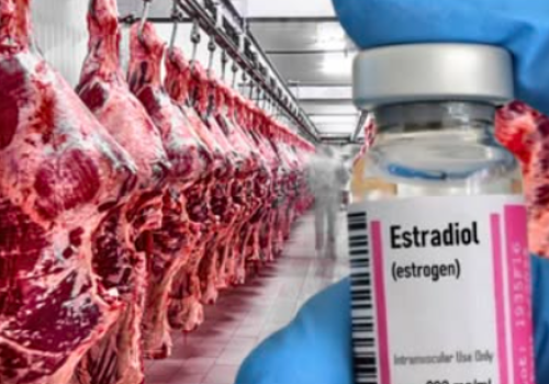 Zakazany hormon w wołowinie z Brazylii. Alarm po kontroli DG SANTE i nowe pytania o umowę z Mercosur