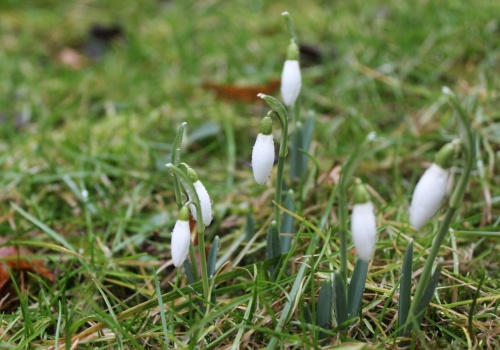 Wiosna na horyzoncie, ale zima jeszcze powalczy. Modele IMGW