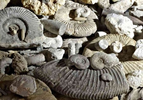 Jak odradzało się życie na Ziemi? Odpowiedź znaleziona w skałach