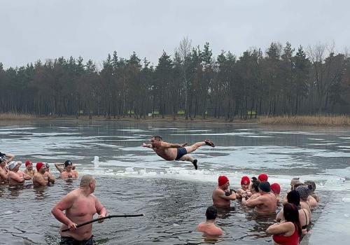 Ostatnia zimowa aura? Morsy delektują się zimnem (ZDJĘCIA)