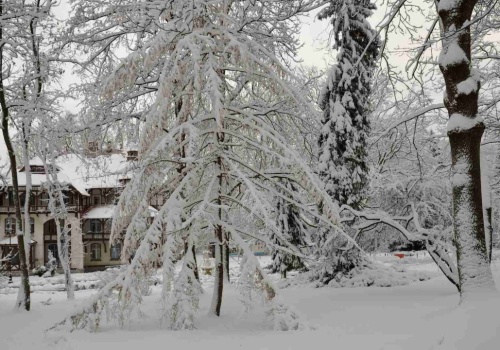 Góry Izerskie na ferie. Świeradów-Zdrój przyciąga turystów