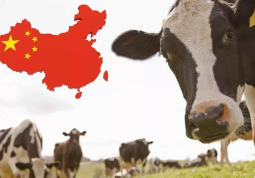 Chiny uderzają w mleko z Europy. Nowe cła mogą zmienić ceny w Polsce