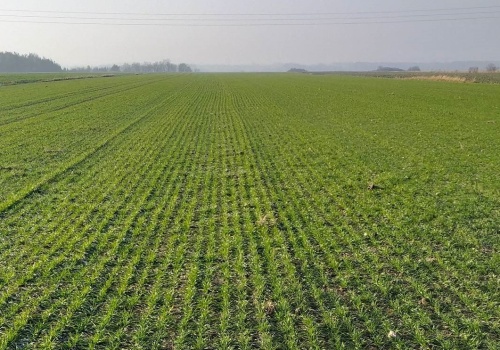 Rewolucja w nawożeniu trwa. Kto nie zmieni strategii, zostanie w tyle