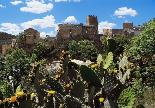 To wydarzenie co roku przyciąga turystów. Ciesz się słońcem i weź udział w bitwie na pomidory