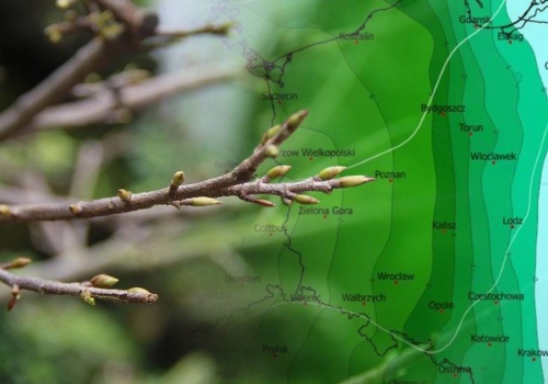 Nadciąga fala ciepła. Wiadomo, kiedy wiosna rozgości się na dobre