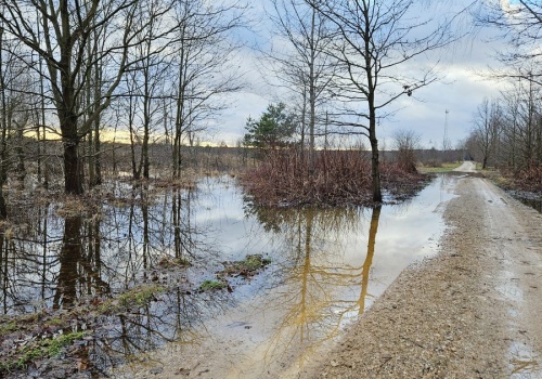 Lada moment poczujemy wiosnę, ale trzeba uważać. 