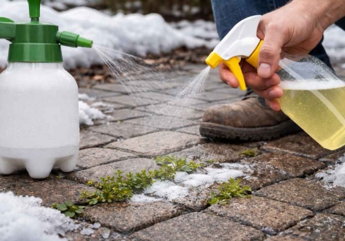 Kilka psiknięć i zapomnisz o chwastach na cały sezon. Zrób to teraz