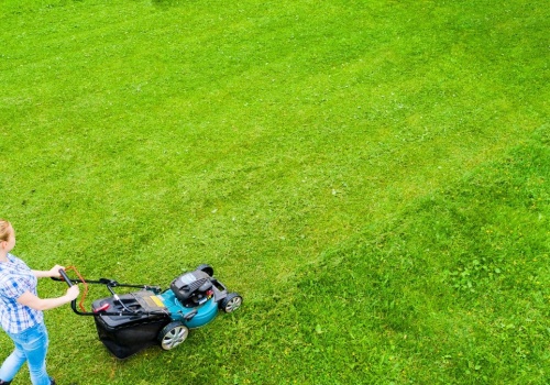 Jak zreanimować trawnik po zimie? Wystarczy kilka prostych trików