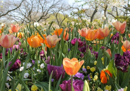 Długoterminowa prognoza dla Polski. Tak ciepło dawno nie było. Nowa analiza