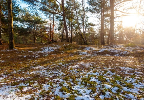 Poniedziałek z dużym ociepleniem, ale to nie koniec zimy. Niż przyniesie śnieg, gołoledź i wiatr