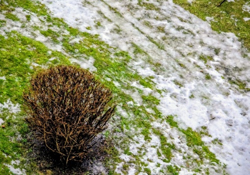Odwilż i opady nad Polską. Miejscami gołoledź, możliwe burze i gwałtowne wzrosty stanów wód