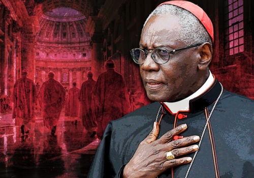 Kard. Sarah apeluje o jedność: dobro dusz nie może być osiągane przez akt nieposłuszeństwa