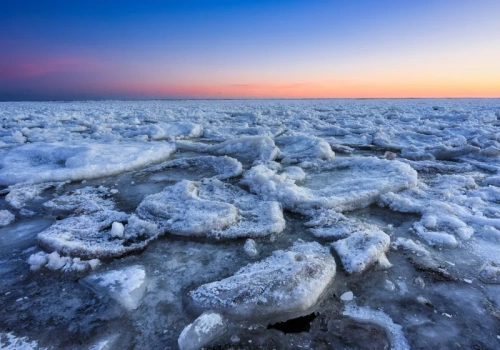Lodowe drzewo na plaży. Atrakcje nad polskim morzem przyciągają nawet gwiazdy