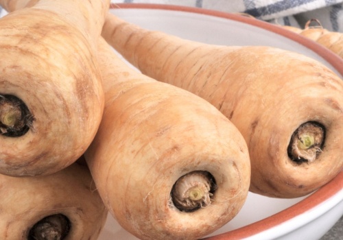 Zapomnieliśmy o nim na 200 lat. Lepszy od pietruszki, ma mnóstwo błonnika i zrobisz z niego nawet frytki