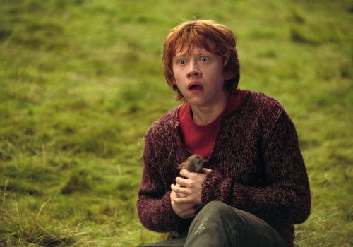 Harry Potter obsadził Rona Weasleya. HBO zgodnie z materiałem źródłowego postawiło na rudowłosego