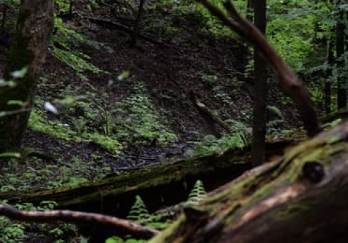 Turnicki Park Narodowy – park, o którym lepiej nie mówić
