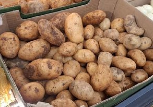 Bosacka pokazała zdjęcie z zakupów. Wielu Polaków nabiera się na takie ziemniaki