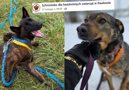 Gmina Sońsk wprowadza 