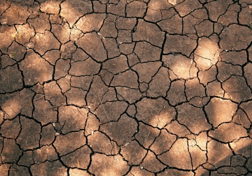 Cypr dotknięty przez rekordową suszę. „Najgorsza od ponad stu lat”