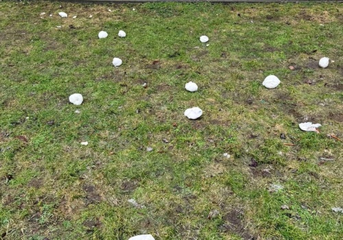 Śnieg odsłonił nie tylko psie kupy. Można też dostrzec wyrzucone przez okno zużyte pampersy