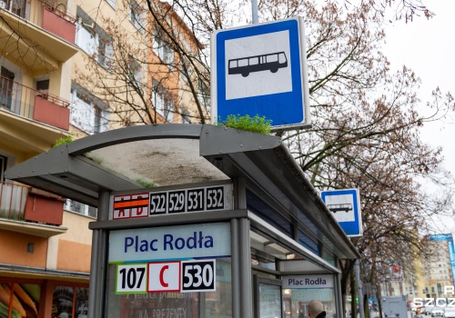 Nerwowa kontrola w autobusie. Pasażerka z podwójnym mandatem