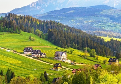 Pierwsze zwiastuny wiosny. Rozpoznasz je wszystkie