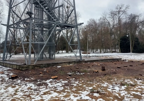 Pusto wokół wieży spadochronowej. Zakład Zieleni Miejskiej wyciął wysokie tuje