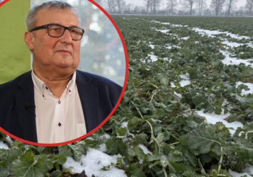 Prof. Potarzycki: Zbilansowane nawożenie – klucz do regeneracji roślin po zimie oraz budowania plonu i jego jakości