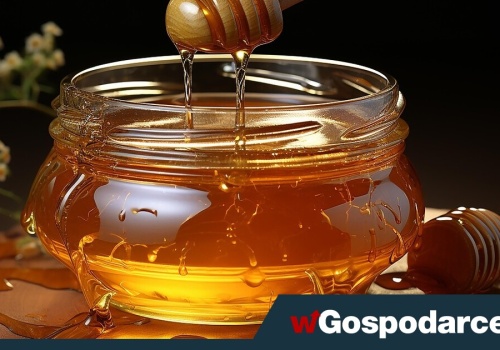 Słoik miodu po nowemu. Przełom dla branży pszczelarskiej?