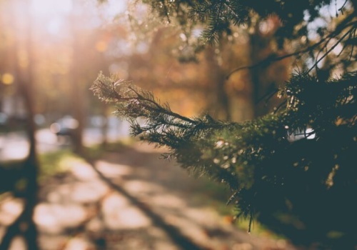 Pogoda na wtorek | Dalsza odwilż, wiosna już blisko?