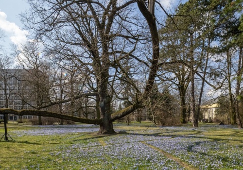 Czy już pod koniec lutego pożegnamy zimę? Nadchodzi uderzenie ciepła