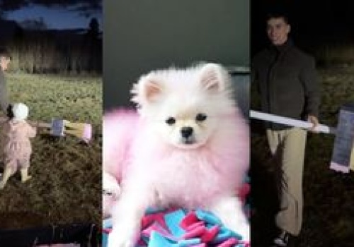 Friz z TRZYLETNIĄ CÓRKĄ i różową farbą straszy dziki przed domem. Was też przestało już to bawić?