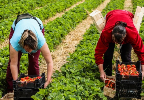 Płacą 16 tys. złotych na rękę. Doświadczenie nie jest wymagane