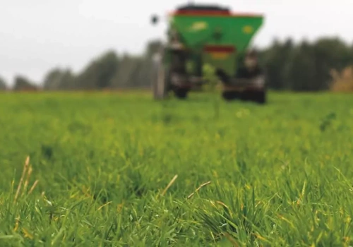 Kiedy nawozić łąkę? Terminy i dawki nawozów