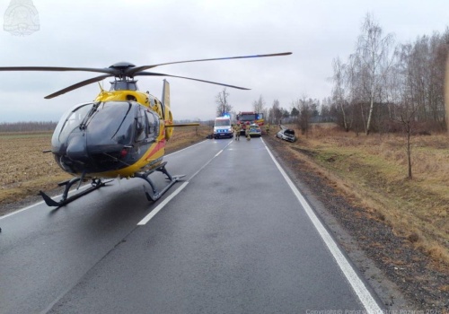 Wypadek w gminie Bolimów. Samochód osobowy uderzył w łosia, LPR w akcji
