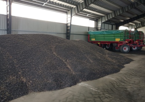 2 150 zł za tonę i to nie koniec! Rzepak znów zaskakuje