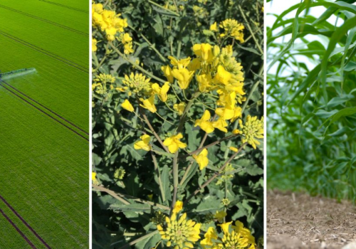 Nowości ProAgri 2026: łatwiejsza i skuteczniejsza ochrona