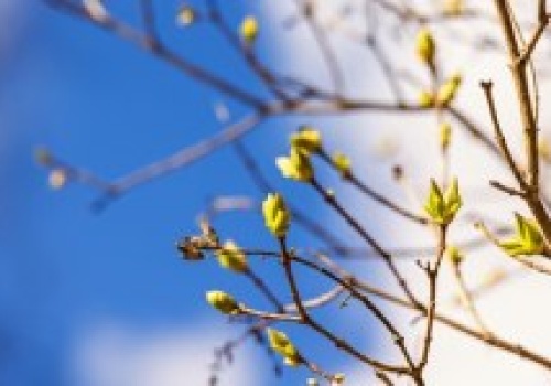 Wiosna na horyzoncie. To zasługa potężnego antycyklonu