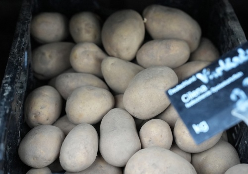 Polska importuje coraz więcej ziemniaków. Do Niemiec popłynęły miliony złotych