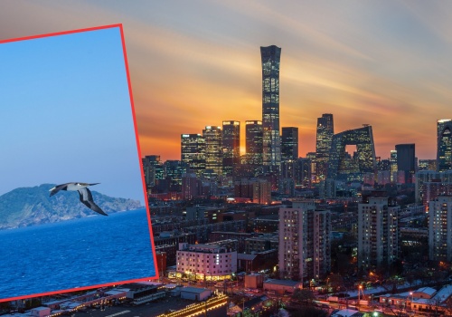 Rzuciła pracę i zamieszkała na bezludnej wyspie. Zarabia 430 dol. miesięcznie i niczego nie żałuje