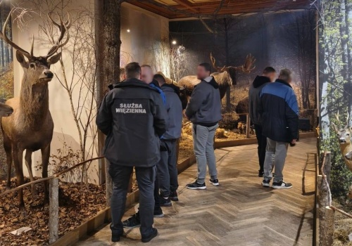 Osadzeni oko w oko z żubrem i łosiem. Tak więźniowie z Kikit uczą się odpowiedzialności