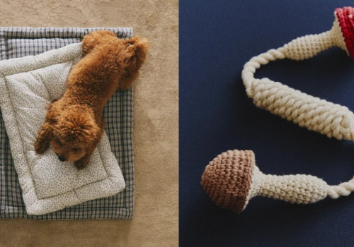 Zara Home z kolekcją dla zwierzaków. Jest co pogryźć i na co popatrzeć