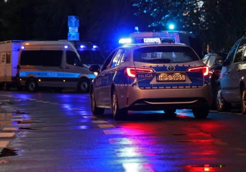 Śledczy ujawniają szczegóły makabrycznych napaści na staruszki. Michał P. usłyszał zarzuty