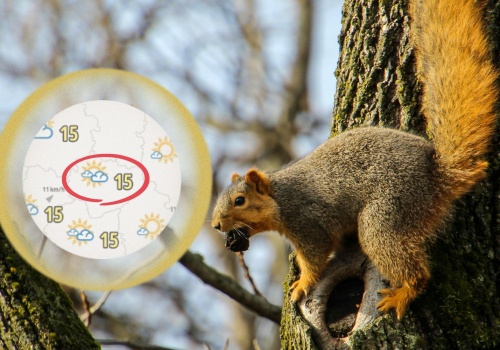 Uderzenie wiosny. Różnica temperatur będzie znaczna