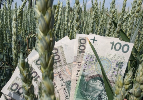 Dopłaty 2026 krok po kroku: płatności, ekoschematy i nowe wyłączenia z kontroli