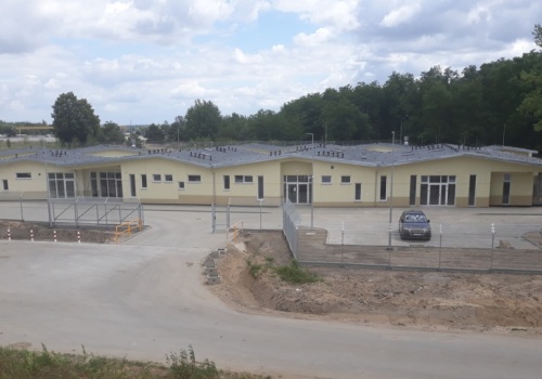 Psi problem w Grudziądzu. Radny obawia się zagranicznych adopcji, MZK odpiera zarzuty