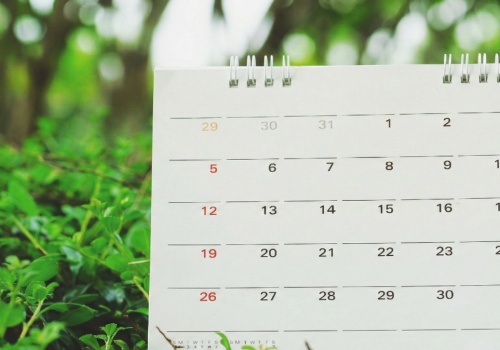 Ledzień, łżykwiat i stojaczka, czyli o etymologii nazw polskich miesięcy