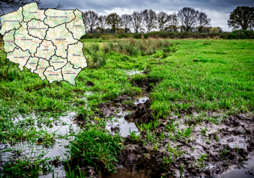 Rządowy plan odbudowy mokradeł. Szansa na dopłaty czy nowe restrykcje dla rolników?