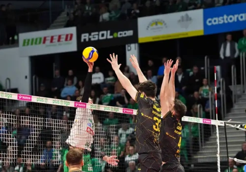 Indykpol AZS kapituluje przed własną publicznością. Mistrz wciąż nieuchwytny