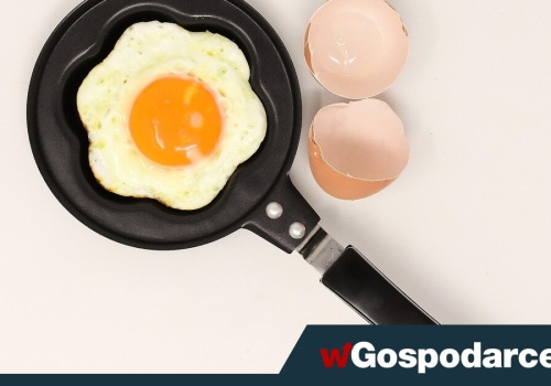 Białko czy żółto jaja - czy unikanie żółtka ma sens?